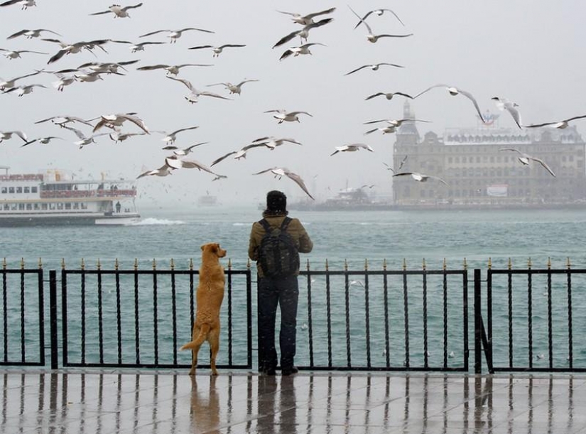 20 places where we are not