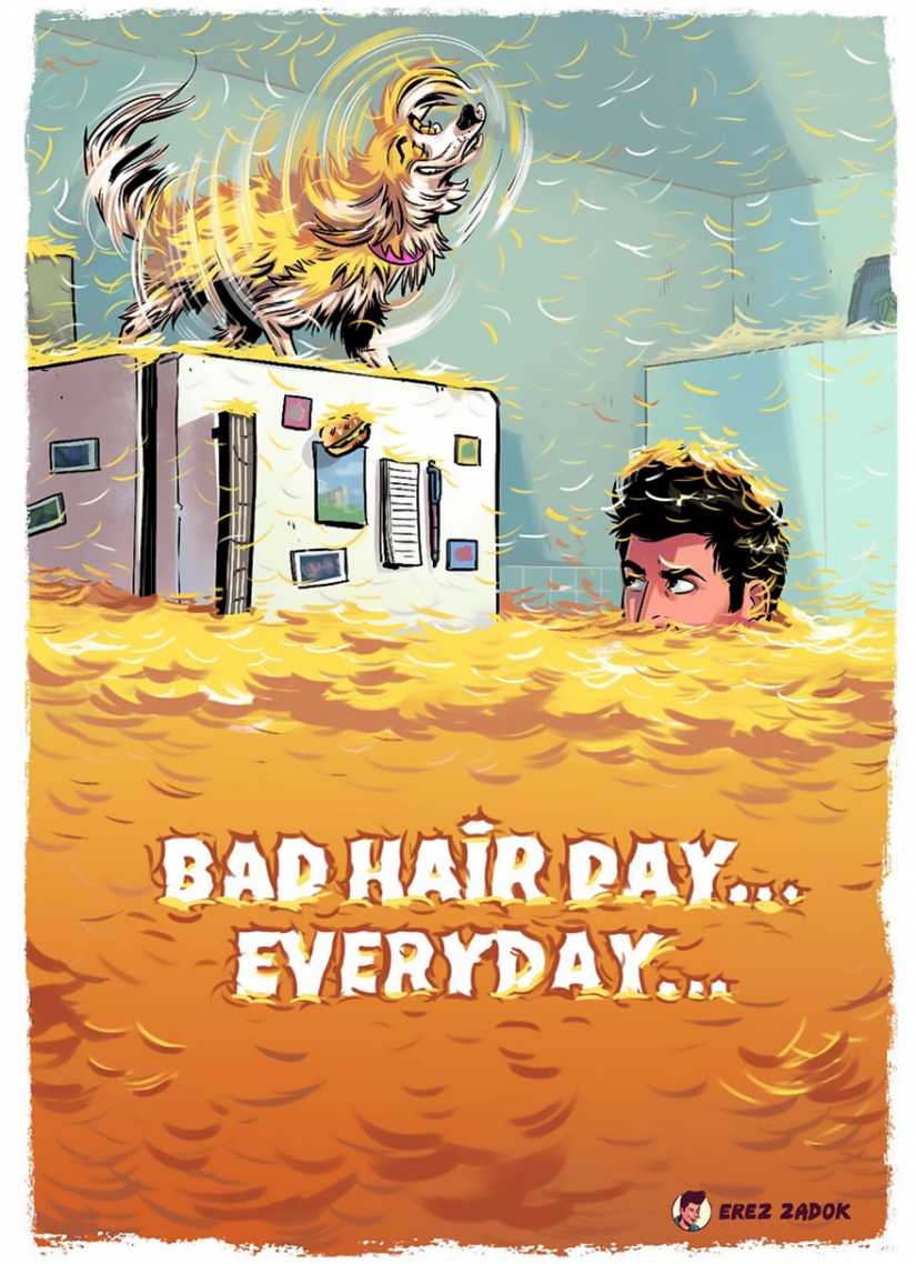 20 situaciones perfectamente familiar para que cada dueño del perro (grosero) 20 situaciones perfectamente familiar para que cada dueño del perro (grosero)