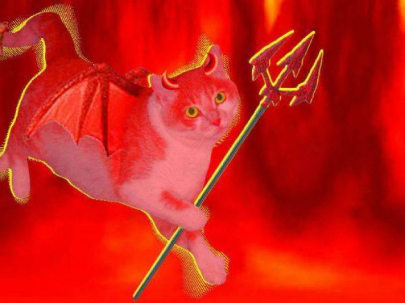 20 so absurd historical facts, that they seem true 20 so absurd historical facts, that they seem true