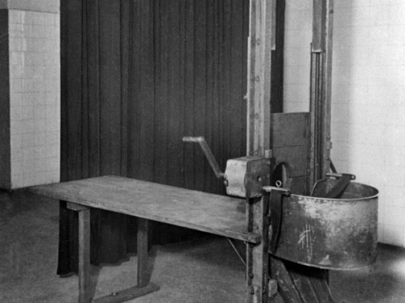 20 so absurd historical facts, that they seem true 20 so absurd historical facts, that they seem true