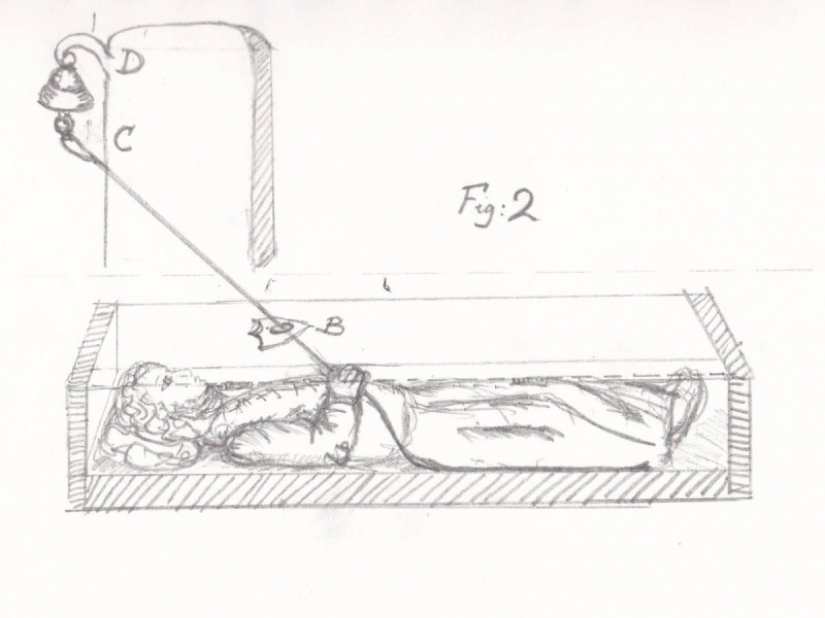 20 so absurd historical facts, that they seem true 20 so absurd historical facts, that they seem true