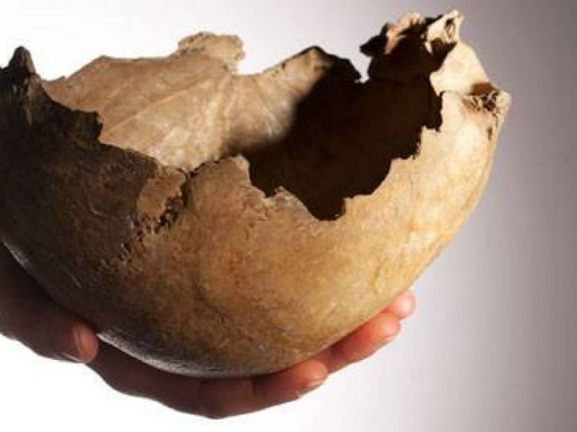 20 so absurd historical facts, that they seem true 20 so absurd historical facts, that they seem true