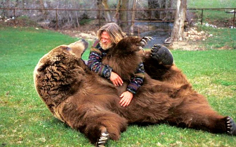 20 vientres que necesitan cero