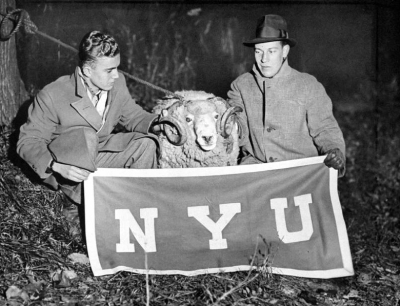 23 brutales imágenes de la hampa de nueva York del siglo pasado 23 brutales imágenes de la hampa de nueva York del siglo pasado