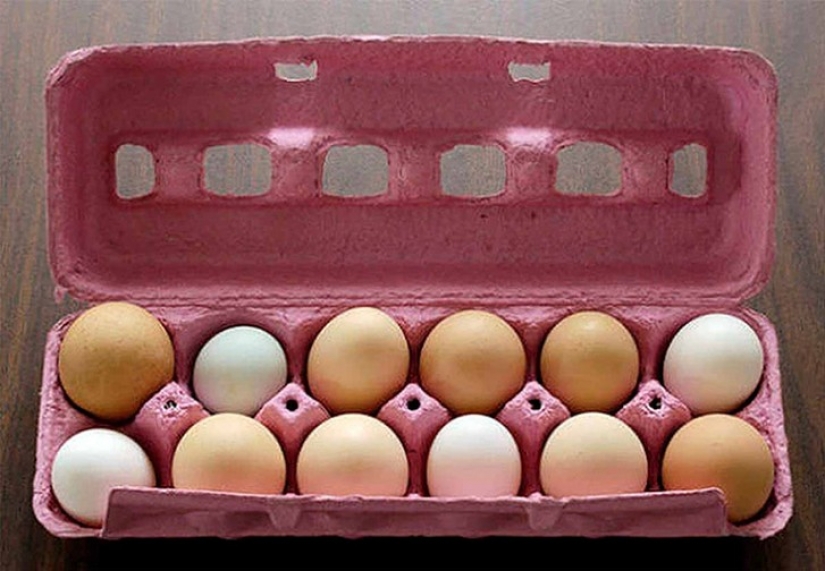 23 crafty kitchen hack, which does not even know your mother 23 crafty kitchen hack, which does not even know your mother