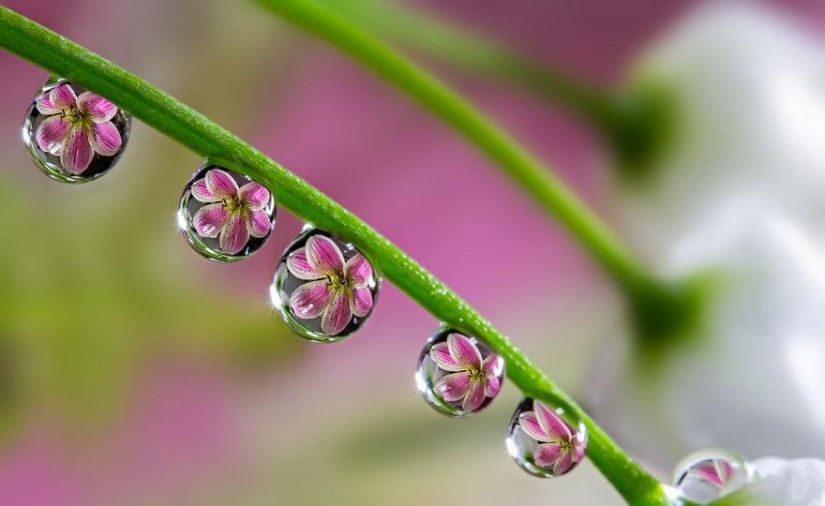 24 amazing reflections