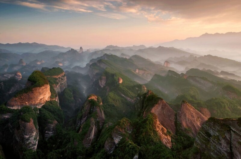 24 fotos increíbles de la vida silvestre de los ganadores de la competencia BigPicture Mundo Natural