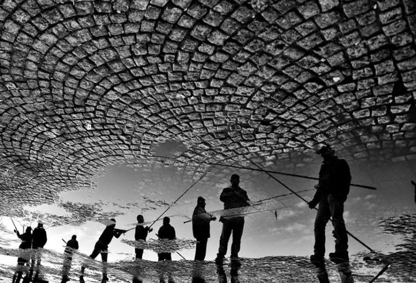 24 reflexiones increíble