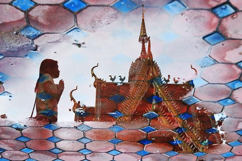 24 reflexiones increíble