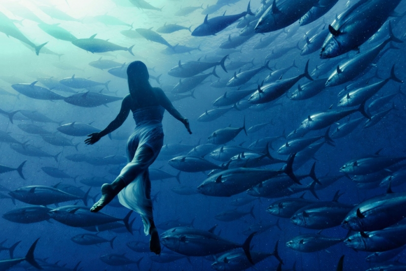 25 amazing photo, where there is not an ounce of photoshop 25 amazing photo, where there is not an ounce of photoshop