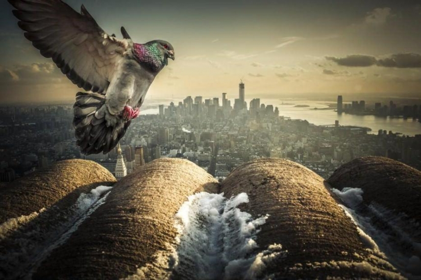 25 ciudades que tiene que visitar cada uno de los