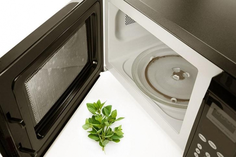 25 genio consejos para el uso de hornos de microondas, no para su propósito