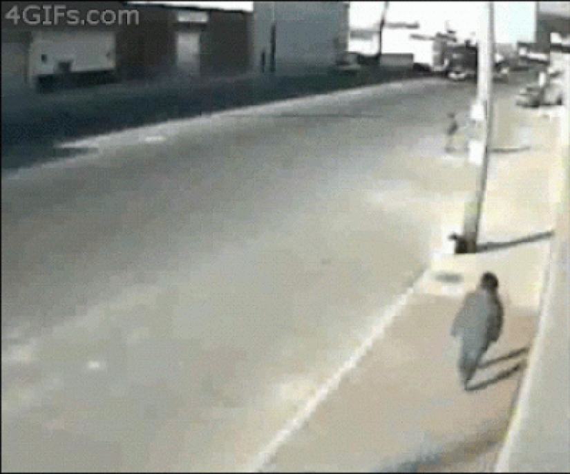 25 gifs about incredible luck 25 gifs about incredible luck