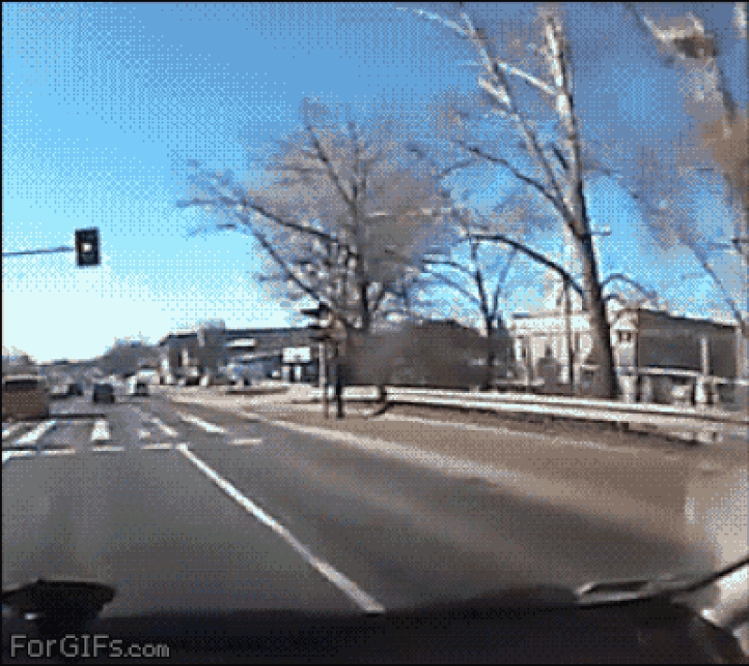 25 gifs about incredible luck 25 gifs about incredible luck