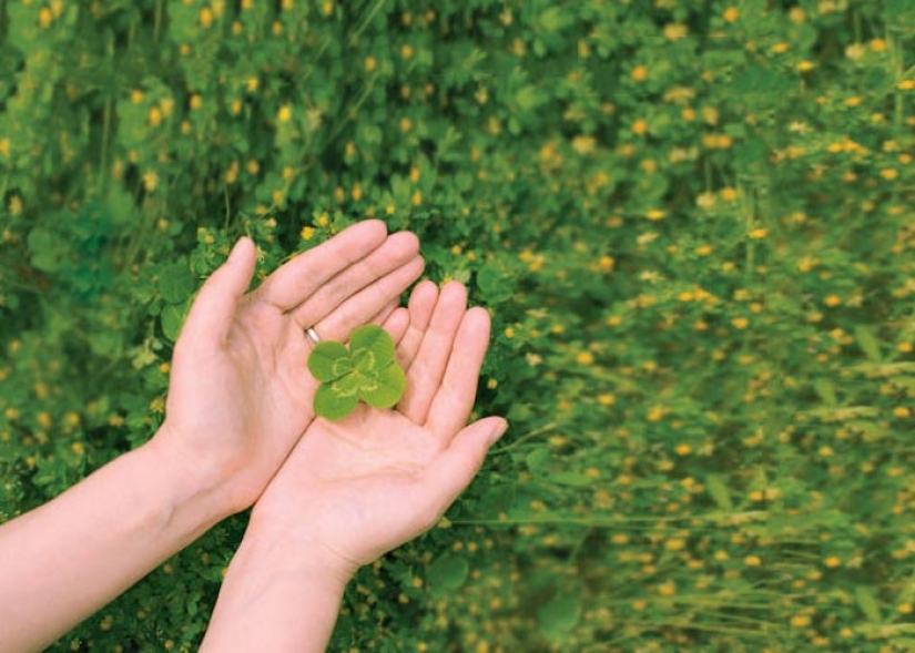 25 gifs acerca de la increíble suerte