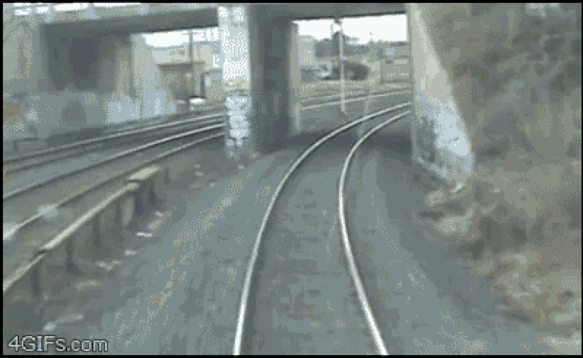 25 gifs acerca de la increíble suerte 25 gifs acerca de la increíble suerte