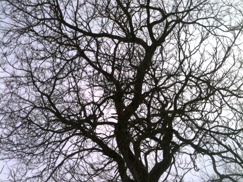 25 hechos sorprendentes acerca de Suiza, acerca de la cual, probablemente, no sabía