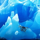 25 increíbles de los icebergs y los glaciares de todo el mundo