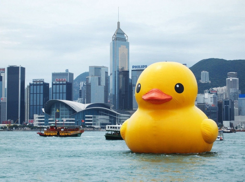 25 most bizarre things sold on eBay 25 most bizarre things sold on eBay