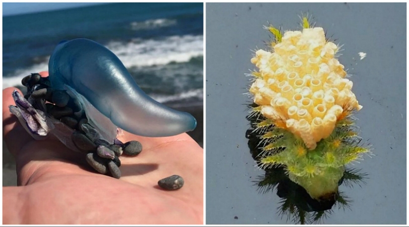 30 bewildered people who found the Internet for the answer to your question 30 bewildered people who found the Internet for the answer to your question