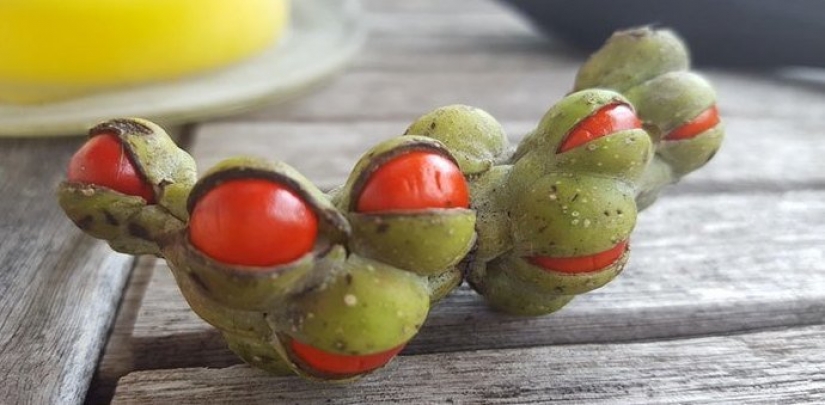 30 bewildered people who found the Internet for the answer to your question 30 bewildered people who found the Internet for the answer to your question