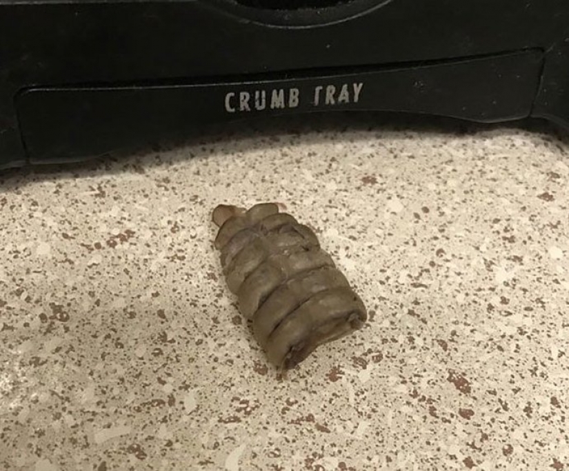 30 bewildered people who found the Internet for the answer to your question 30 bewildered people who found the Internet for the answer to your question