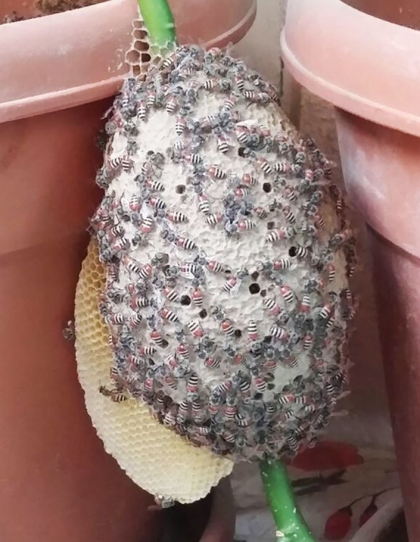 30 personas confundidas que encontró el Internet para encontrar la respuesta a su pregunta 30 personas confundidas que encontró el Internet para encontrar la respuesta a su pregunta