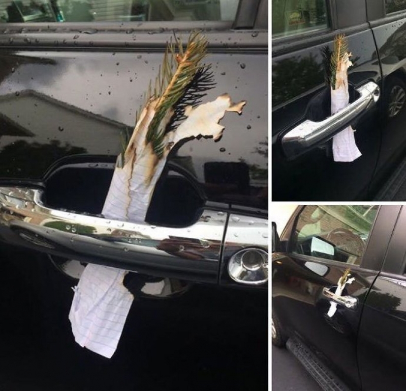 30 personas confundidas que encontró el Internet para encontrar la respuesta a su pregunta 30 personas confundidas que encontró el Internet para encontrar la respuesta a su pregunta