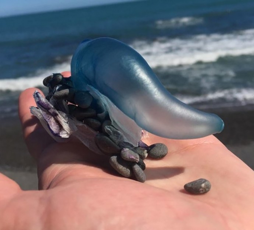 30 personas confundidas que encontró el Internet para encontrar la respuesta a su pregunta 30 personas confundidas que encontró el Internet para encontrar la respuesta a su pregunta