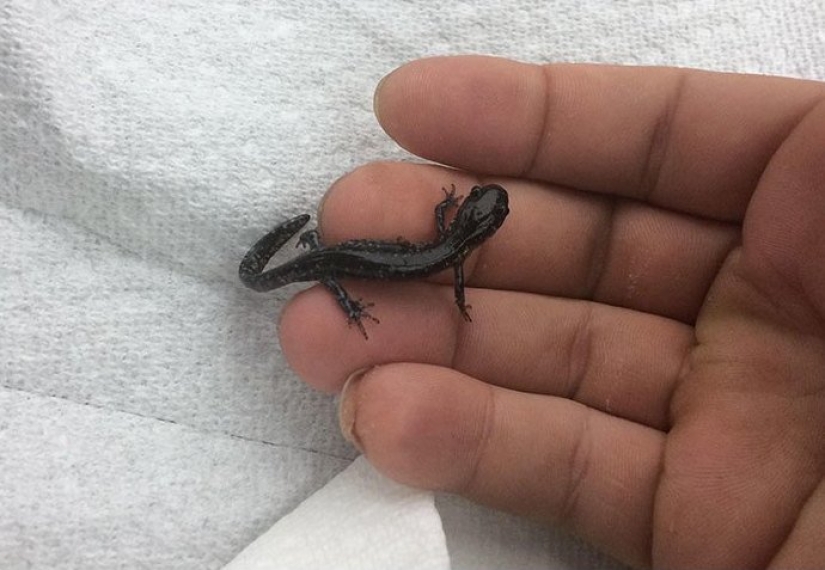 30 personas confundidas que encontró el Internet para encontrar la respuesta a su pregunta 30 personas confundidas que encontró el Internet para encontrar la respuesta a su pregunta