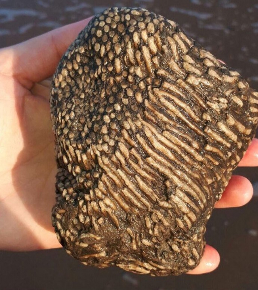 30 personas confundidas que encontró el Internet para encontrar la respuesta a su pregunta 30 personas confundidas que encontró el Internet para encontrar la respuesta a su pregunta