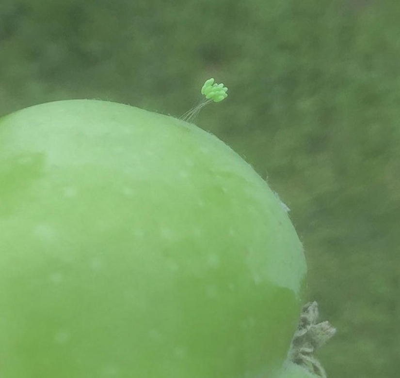 30 personas confundidas que encontró el Internet para encontrar la respuesta a su pregunta 30 personas confundidas que encontró el Internet para encontrar la respuesta a su pregunta