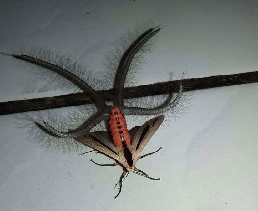 30 personas confundidas que encontró el Internet para encontrar la respuesta a su pregunta 30 personas confundidas que encontró el Internet para encontrar la respuesta a su pregunta