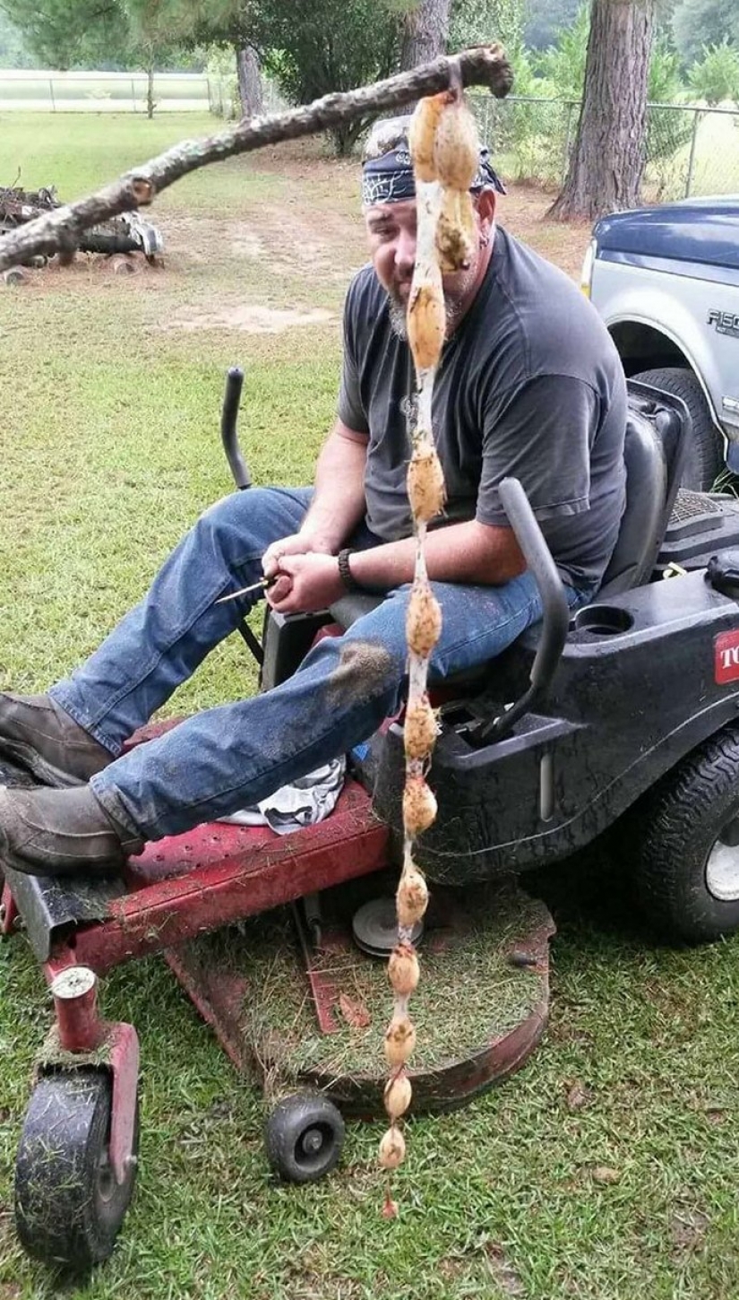 30 personas confundidas que encontró el Internet para encontrar la respuesta a su pregunta 30 personas confundidas que encontró el Internet para encontrar la respuesta a su pregunta