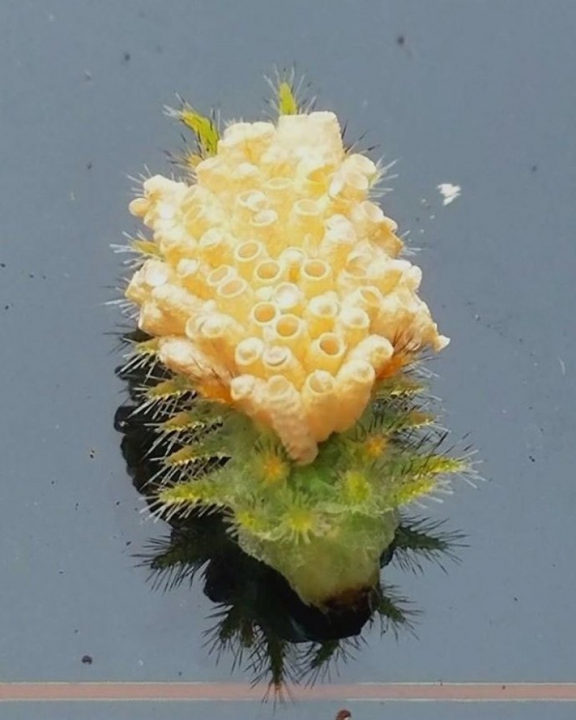 30 personas confundidas que encontró el Internet para encontrar la respuesta a su pregunta 30 personas confundidas que encontró el Internet para encontrar la respuesta a su pregunta