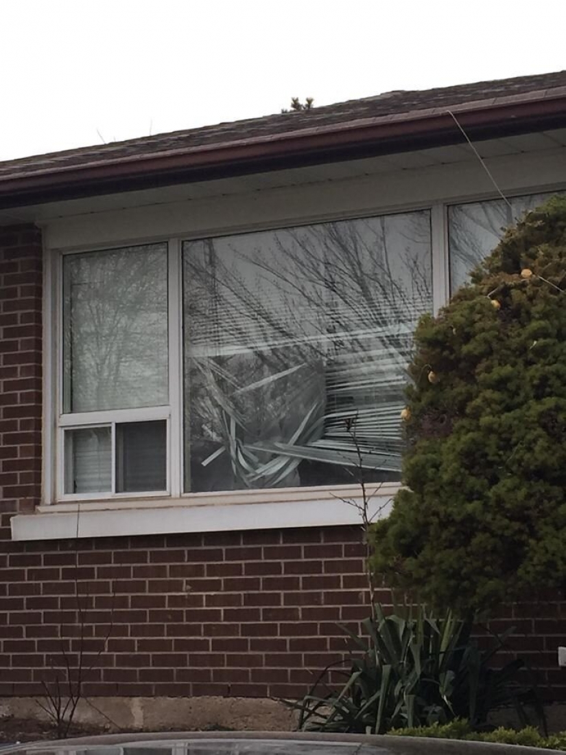 30 persons who are quarantined are given worse than you