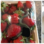 30 persons who are quarantined are given worse than you