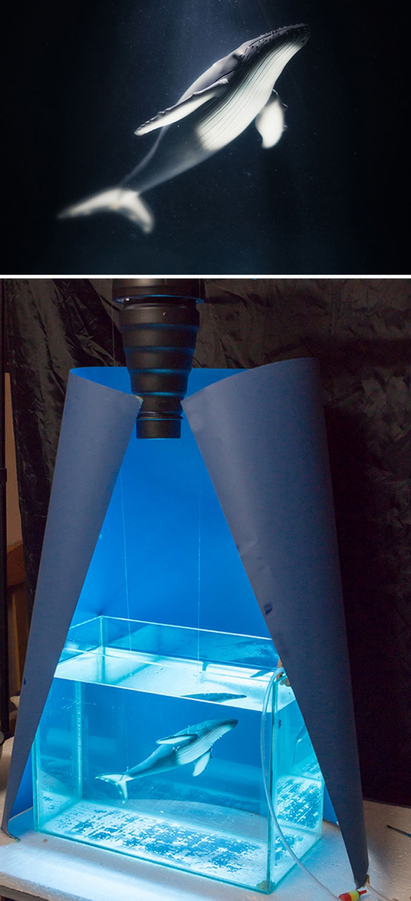 33 example of what professional photography is a sham 33 example of what professional photography is a sham