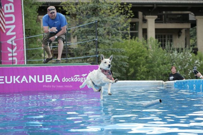33 fotos, donde el tiempo y el ángulo de decidir todo