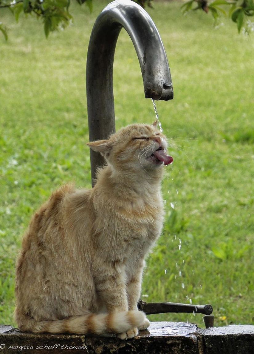 33 fotos, donde el tiempo y el ángulo de decidir todo