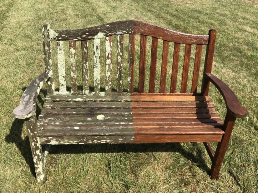 35 elementos, los ideales de los cuales supera 35 elementos, los ideales de los cuales supera