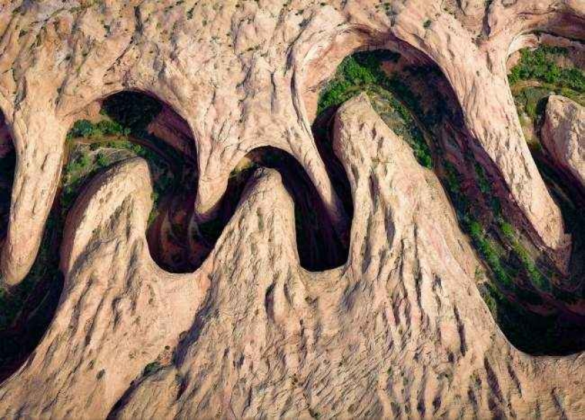 35 foto del concurso "la Mejor foto de naturaleza" de National Geographic 35 foto del concurso "la Mejor foto de naturaleza" de National Geographic