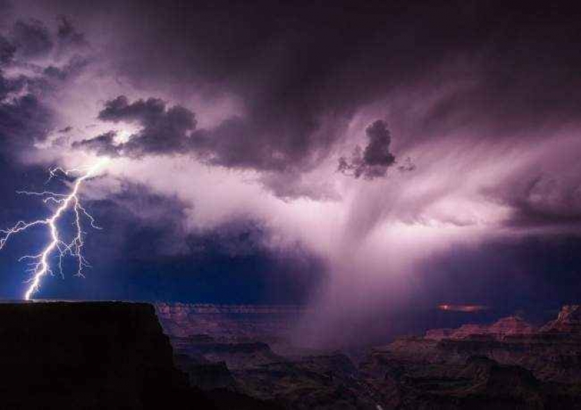 35 foto del concurso "la Mejor foto de naturaleza" de National Geographic 35 foto del concurso "la Mejor foto de naturaleza" de National Geographic