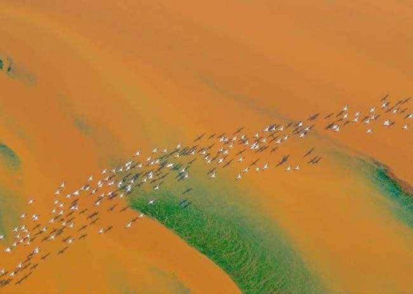 35 foto del concurso "la Mejor foto de naturaleza" de National Geographic 35 foto del concurso "la Mejor foto de naturaleza" de National Geographic