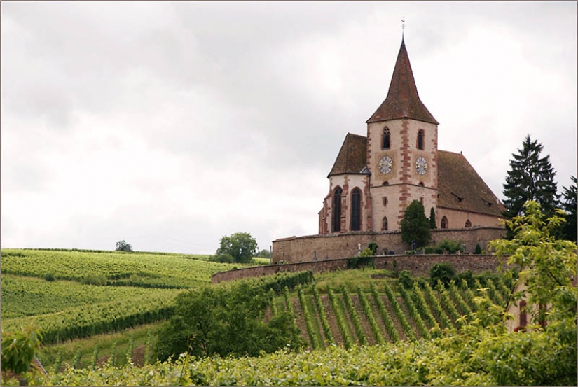 35 la mayoría de los hermosos viñedos en el mundo 35 la mayoría de los hermosos viñedos en el mundo