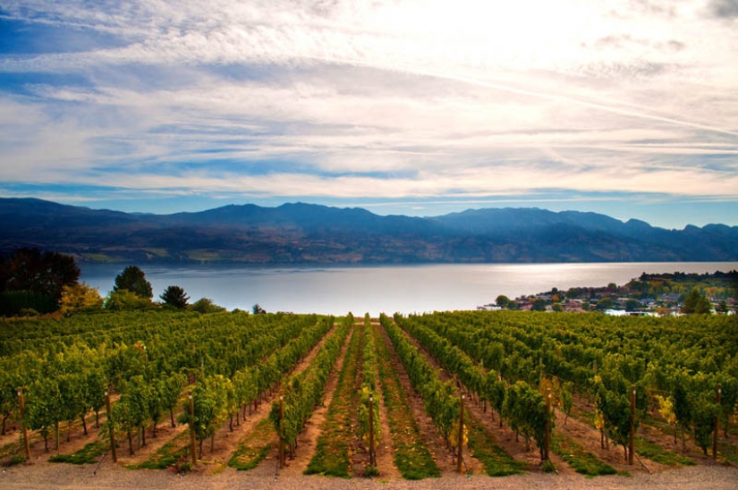 35 most beautiful vineyards in the world 35 most beautiful vineyards in the world