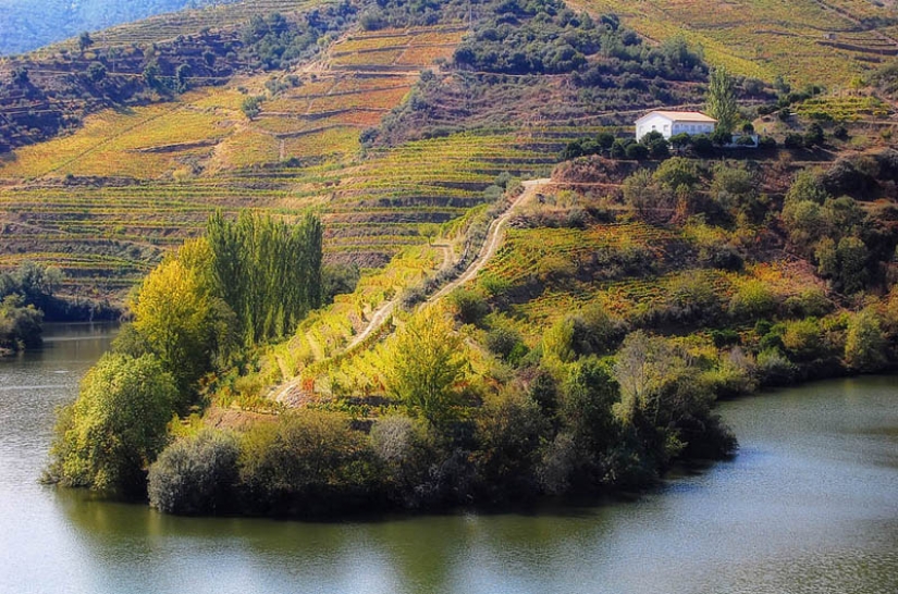 35 most beautiful vineyards in the world 35 most beautiful vineyards in the world