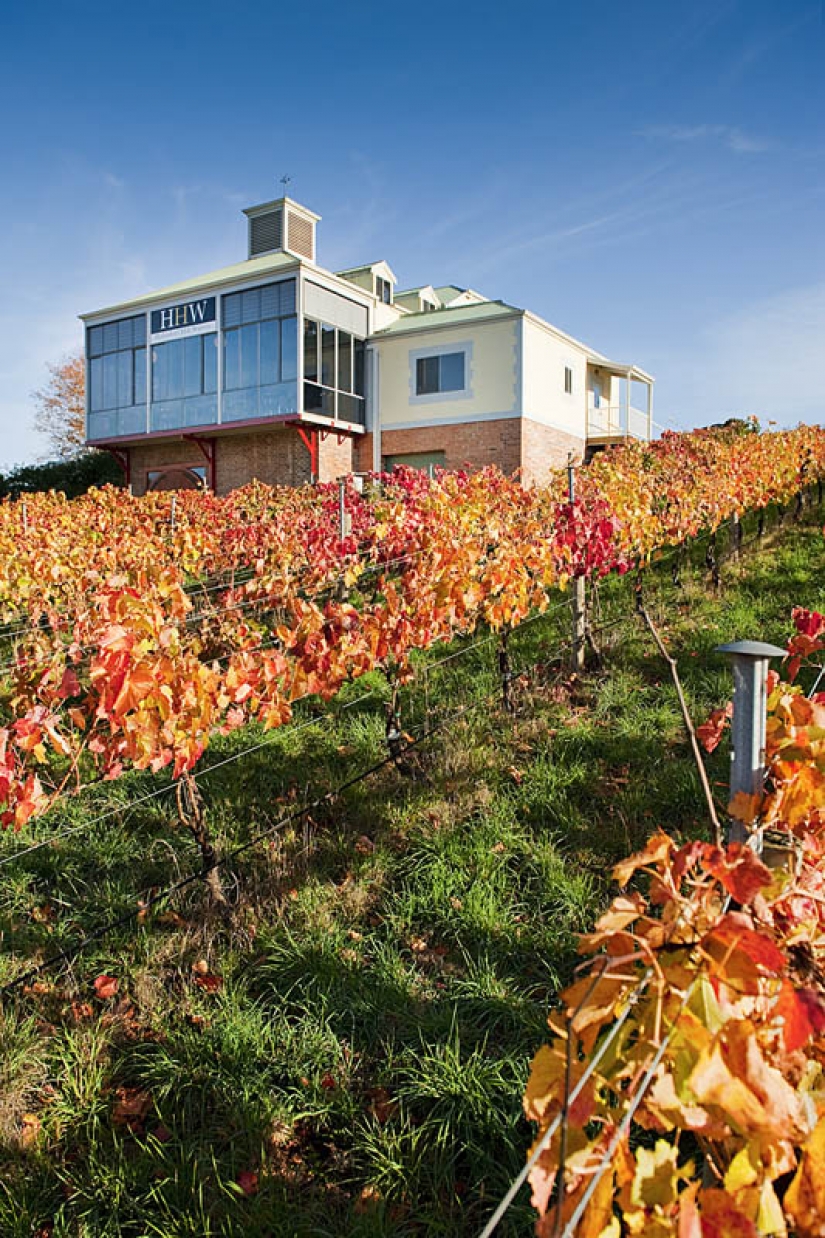 35 most beautiful vineyards in the world 35 most beautiful vineyards in the world