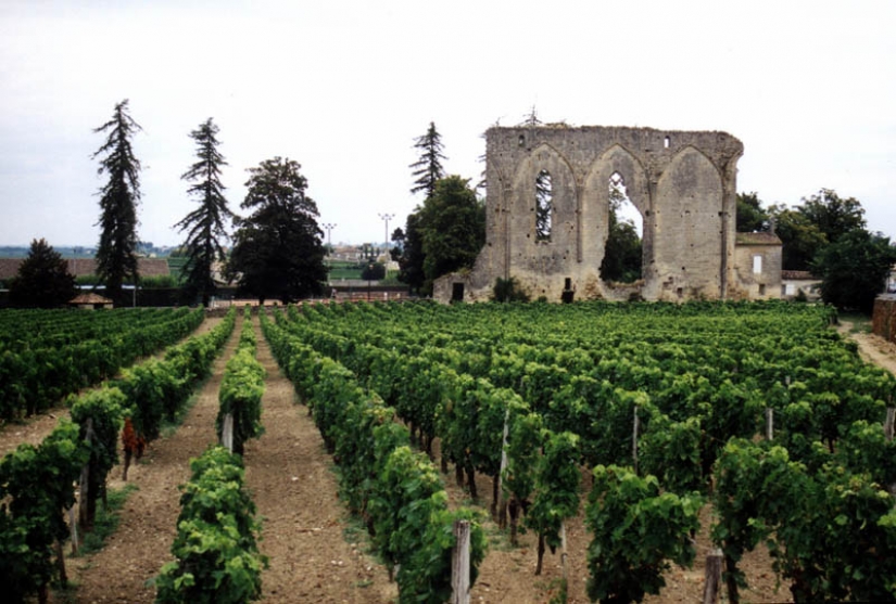 35 most beautiful vineyards in the world 35 most beautiful vineyards in the world