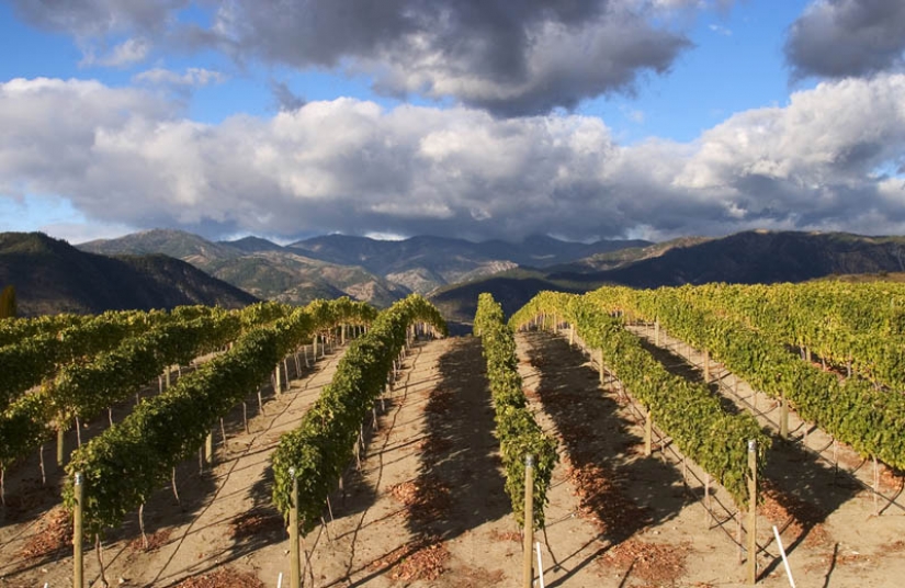 35 most beautiful vineyards in the world 35 most beautiful vineyards in the world